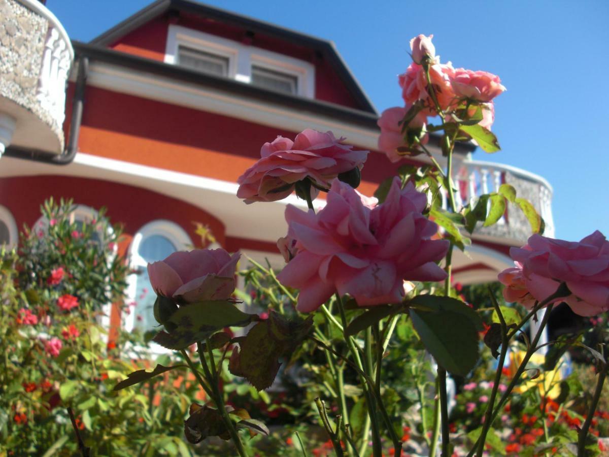 Apartma Jelka Novigrad Istria Extérieur photo