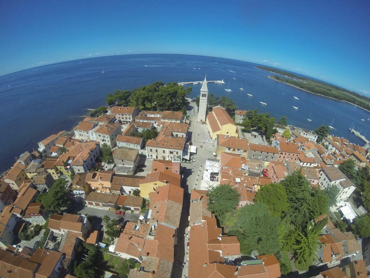 Apartma Jelka Novigrad Istria Extérieur photo